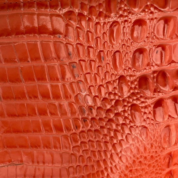 Brahmin Bag - Picture 5 of 16